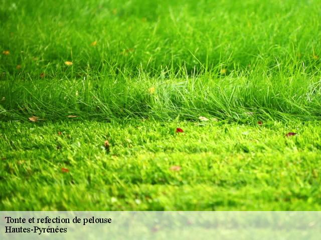 Tonte et refection de pelouse Hautes-Pyrénées 