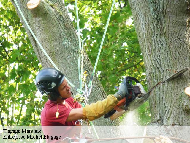 Elagage marsous-65400 Entreprise Michel Elagage