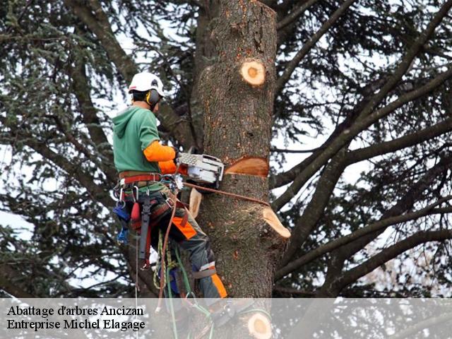 Abattage d'arbres  ancizan-65440 Entreprise Michel Elagage