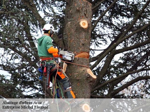 Abattage d'arbres  arne-65670 Entreprise Michel Elagage