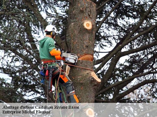 Abattage d'arbres castelnau-riviere-basse-65700 Entreprise Michel Elagage