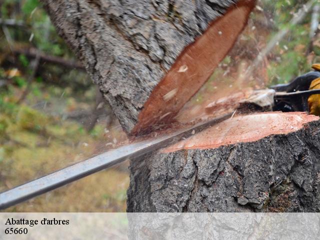 Abattage d'arbres 65660