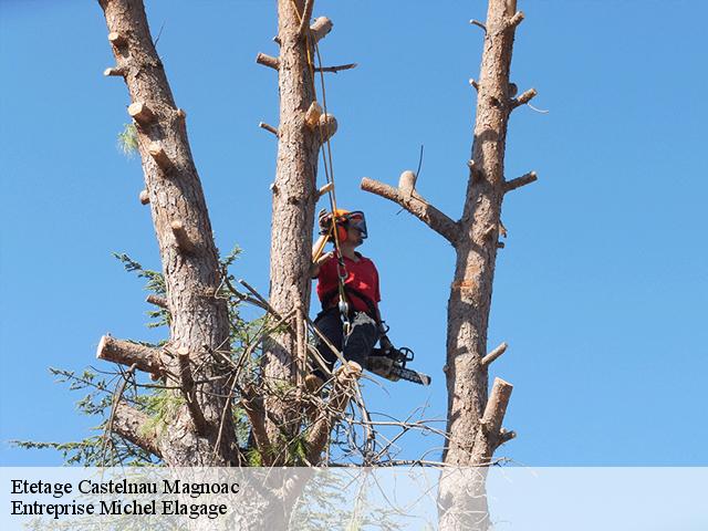 Etetage castelnau-magnoac-65230 D'arbes en Arbres
