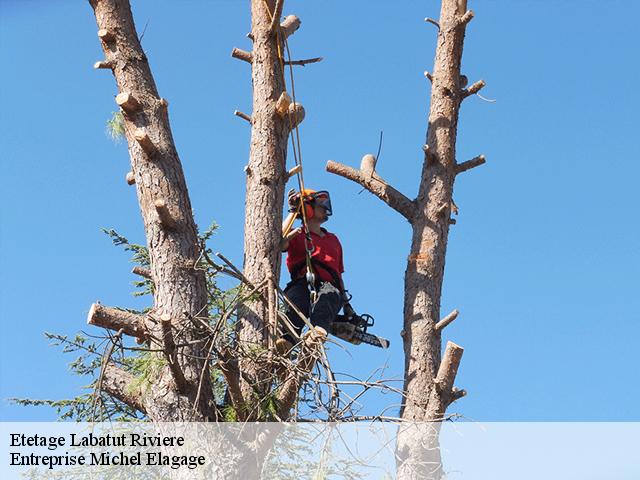 Etetage labatut-riviere-65700 D'arbes en Arbres