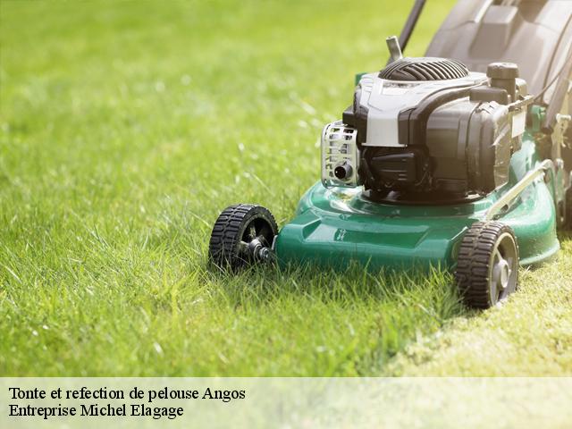 Tonte et refection de pelouse  angos-65690 Entreprise Michel Elagage