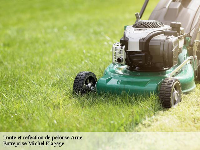 Tonte et refection de pelouse arne-65670 Entreprise Michel Elagage