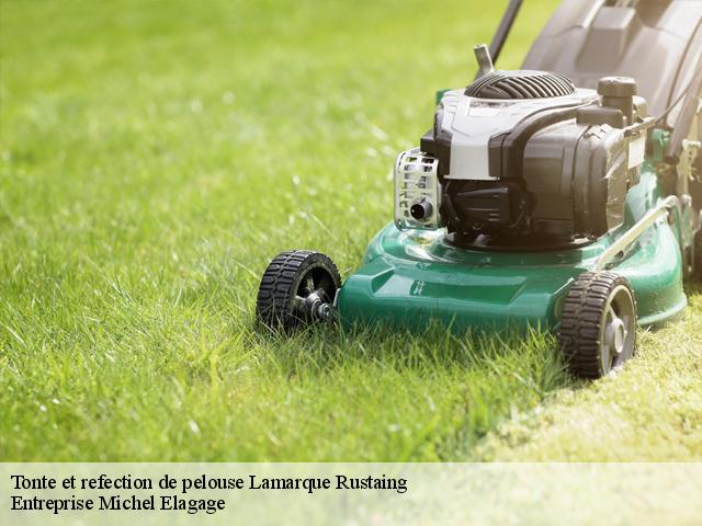 Tonte et refection de pelouse lamarque-rustaing-65220 Entreprise Michel Elagage