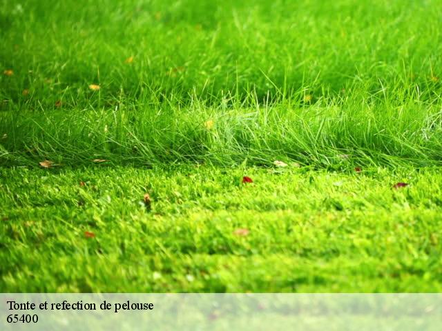 Tonte et refection de pelouse 65400