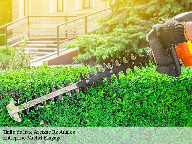 Taille de haie arcizac-ez-angles-65100 Entreprise Michel Elagage