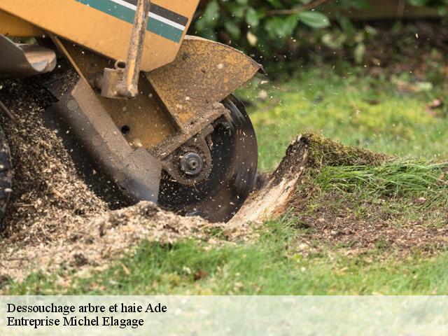 Dessouchage arbre et haie  ade-65100 Entreprise Michel Elagage